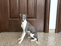 processed/9df88af3-7188-405a-9bb9-986e1332cdaa/listing/b0b25260-eb1f-490f-8608-f0300eada8c9/b70b750a-b8bb-4e89-ae19-79b46d3dd25c