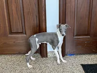 processed/9df88af3-7188-405a-9bb9-986e1332cdaa/listing/b0b25260-eb1f-490f-8608-f0300eada8c9/ff12b1ca-3abf-4b49-96c8-64758217ff88