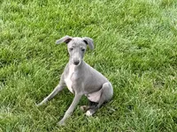 processed/9df88af3-7188-405a-9bb9-986e1332cdaa/listing/ba6a79f1-7ec0-46d7-bda2-fb3e1632e6a4/0406d771-bb10-4be8-9f30-6a3523119b7c