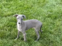 processed/9df88af3-7188-405a-9bb9-986e1332cdaa/listing/ba6a79f1-7ec0-46d7-bda2-fb3e1632e6a4/0bea449d-b77a-4c04-ae54-e939d9ab0927