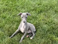 processed/9df88af3-7188-405a-9bb9-986e1332cdaa/listing/ba6a79f1-7ec0-46d7-bda2-fb3e1632e6a4/17a4afa8-a9fc-42e9-8cdd-795d5f9ce0f3