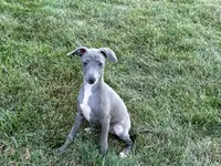 processed/9df88af3-7188-405a-9bb9-986e1332cdaa/listing/ba6a79f1-7ec0-46d7-bda2-fb3e1632e6a4/2cd8b92d-c67e-4fe7-8fbf-58ff49897397