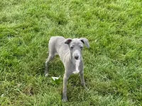 processed/9df88af3-7188-405a-9bb9-986e1332cdaa/listing/ba6a79f1-7ec0-46d7-bda2-fb3e1632e6a4/84aa246d-52e6-440e-a44c-82dc01ba0af1