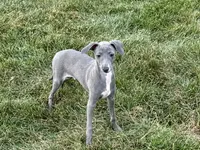 processed/9df88af3-7188-405a-9bb9-986e1332cdaa/listing/ba6a79f1-7ec0-46d7-bda2-fb3e1632e6a4/8b603cd7-0f0a-426b-b14c-c24aba3ac293