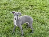 processed/9df88af3-7188-405a-9bb9-986e1332cdaa/listing/ba6a79f1-7ec0-46d7-bda2-fb3e1632e6a4/bebdface-f9a4-4e2e-8ad0-0a25f9e33e1a