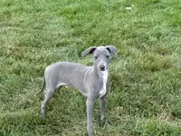 processed/9df88af3-7188-405a-9bb9-986e1332cdaa/listing/ba6a79f1-7ec0-46d7-bda2-fb3e1632e6a4/e525eac8-a61c-4410-b071-6a72a476e108