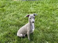 processed/9df88af3-7188-405a-9bb9-986e1332cdaa/listing/ba6a79f1-7ec0-46d7-bda2-fb3e1632e6a4/fbba5504-c87d-4281-8797-ac1898e86d2d