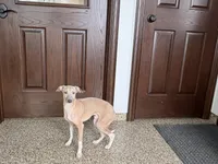 processed/9df88af3-7188-405a-9bb9-986e1332cdaa/listing/bdd4fa4a-b26d-4e11-a2e8-3d15b4006881/2ff0a39a-d346-48f9-96f2-887930935889