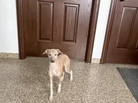 processed/9df88af3-7188-405a-9bb9-986e1332cdaa/listing/bdd4fa4a-b26d-4e11-a2e8-3d15b4006881/385949c4-8fcd-463a-8825-8b38d67fa24b