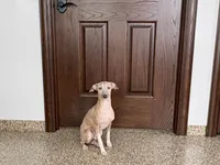 processed/9df88af3-7188-405a-9bb9-986e1332cdaa/listing/bdd4fa4a-b26d-4e11-a2e8-3d15b4006881/3a1b484f-1526-4c02-b0e6-572637e3901f