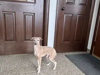 processed/9df88af3-7188-405a-9bb9-986e1332cdaa/listing/bdd4fa4a-b26d-4e11-a2e8-3d15b4006881/4dc1696a-d525-4a66-add2-d24ee80a030c