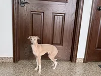 processed/9df88af3-7188-405a-9bb9-986e1332cdaa/listing/bdd4fa4a-b26d-4e11-a2e8-3d15b4006881/a30012e2-3547-4956-bbcd-10609fb1ada8