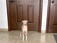 processed/9df88af3-7188-405a-9bb9-986e1332cdaa/listing/bdd4fa4a-b26d-4e11-a2e8-3d15b4006881/adf3aaa3-00a2-49ea-b7b3-5756093ea7ea