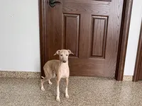 processed/9df88af3-7188-405a-9bb9-986e1332cdaa/listing/bdd4fa4a-b26d-4e11-a2e8-3d15b4006881/b3d7c392-989c-4d05-aa7f-dbd77562c0f7