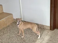 processed/9df88af3-7188-405a-9bb9-986e1332cdaa/listing/bf12a5af-4292-443c-8ebf-521a9cccc2db/26601d94-bfc9-491b-bb96-2ce06876d3a4