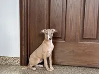 processed/9df88af3-7188-405a-9bb9-986e1332cdaa/listing/bf12a5af-4292-443c-8ebf-521a9cccc2db/35616b4d-b209-4695-a206-e21a04dac88e