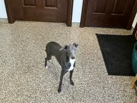 processed/9df88af3-7188-405a-9bb9-986e1332cdaa/listing/c2ec646a-ab4f-467c-98c0-e7cb5244ba79/08b07e99-1213-417c-848b-da18b1445984