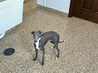 processed/9df88af3-7188-405a-9bb9-986e1332cdaa/listing/c2ec646a-ab4f-467c-98c0-e7cb5244ba79/81982195-2ce3-4ab3-83bf-cfb3c6221133