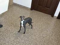 processed/9df88af3-7188-405a-9bb9-986e1332cdaa/listing/c2ec646a-ab4f-467c-98c0-e7cb5244ba79/d9104586-d640-4af6-ade9-e6514994a31e