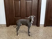 processed/9df88af3-7188-405a-9bb9-986e1332cdaa/listing/c2ec646a-ab4f-467c-98c0-e7cb5244ba79/e6173c10-2711-41d9-beac-25ce99c6ba40