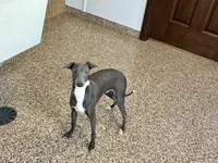 processed/9df88af3-7188-405a-9bb9-986e1332cdaa/listing/c2ec646a-ab4f-467c-98c0-e7cb5244ba79/e630fb07-0c3d-45b4-8b70-394a6b8b42ff