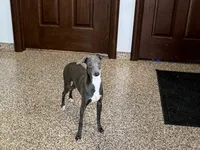 processed/9df88af3-7188-405a-9bb9-986e1332cdaa/listing/c2ec646a-ab4f-467c-98c0-e7cb5244ba79/e940dcaa-429b-48bc-92fc-1e04011c85ba