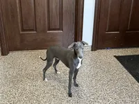 processed/9df88af3-7188-405a-9bb9-986e1332cdaa/listing/c2ec646a-ab4f-467c-98c0-e7cb5244ba79/f252c69f-2315-4e9d-aab6-3b8c56b25049