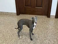 processed/9df88af3-7188-405a-9bb9-986e1332cdaa/listing/c2ec646a-ab4f-467c-98c0-e7cb5244ba79/fc6766a8-5b7f-4959-bb61-c44be303d49a