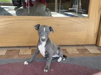 processed/9df88af3-7188-405a-9bb9-986e1332cdaa/listing/cb2092fb-d228-428c-b321-90d26025cb67/4b89cc8e-b883-48e4-a410-f493cd4bc39d