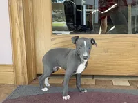 processed/9df88af3-7188-405a-9bb9-986e1332cdaa/listing/cb2092fb-d228-428c-b321-90d26025cb67/6dd2333d-86f5-42ba-9d87-4144155c70c0