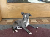 processed/9df88af3-7188-405a-9bb9-986e1332cdaa/listing/cb2092fb-d228-428c-b321-90d26025cb67/90b6a911-6e39-410f-bc2e-6d16a8b8ff7e