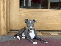 processed/9df88af3-7188-405a-9bb9-986e1332cdaa/listing/cb2092fb-d228-428c-b321-90d26025cb67/b2b93379-da3d-4ffa-834f-a4118553aec1