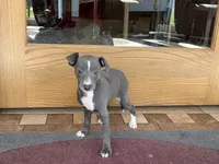 processed/9df88af3-7188-405a-9bb9-986e1332cdaa/listing/cb2092fb-d228-428c-b321-90d26025cb67/c44a3b0e-2b1f-4ec9-ab57-181790274bb5