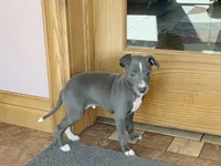 processed/9df88af3-7188-405a-9bb9-986e1332cdaa/listing/cb2092fb-d228-428c-b321-90d26025cb67/e5842726-f26e-4fb2-9c71-105ec15f6a55