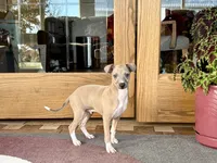 processed/9df88af3-7188-405a-9bb9-986e1332cdaa/listing/ce4082de-f73e-440f-8f4c-935c4b12fdb4/217507f5-0fa1-4814-b0e0-2c0da73a7117