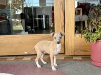 processed/9df88af3-7188-405a-9bb9-986e1332cdaa/listing/ce4082de-f73e-440f-8f4c-935c4b12fdb4/6b09ce41-caa6-4d59-a6f4-76316272c54f