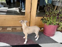 processed/9df88af3-7188-405a-9bb9-986e1332cdaa/listing/ce4082de-f73e-440f-8f4c-935c4b12fdb4/78b0c00c-400f-46e0-a9bb-f03b1bb0f271