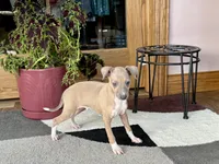 processed/9df88af3-7188-405a-9bb9-986e1332cdaa/listing/ce4082de-f73e-440f-8f4c-935c4b12fdb4/a5ca9294-0807-439d-9600-479d275349b0