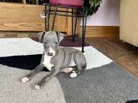 processed/9df88af3-7188-405a-9bb9-986e1332cdaa/listing/d4cce55a-6f68-4ff8-8a20-a147ae5f5311/cf62beeb-ddcf-4dca-bb73-eaf4c3e05c83