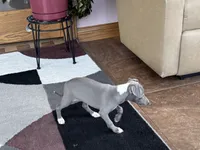 processed/9df88af3-7188-405a-9bb9-986e1332cdaa/listing/d4cce55a-6f68-4ff8-8a20-a147ae5f5311/d22ad623-263e-41d0-9988-e270e3aacc0c