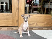 processed/9df88af3-7188-405a-9bb9-986e1332cdaa/listing/e0a119ee-8a0c-4850-9095-c0c46c6cb3e3/529be2d5-f1a7-4c66-9d8e-3976d1c7e8f5