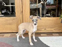 processed/9df88af3-7188-405a-9bb9-986e1332cdaa/listing/e0a119ee-8a0c-4850-9095-c0c46c6cb3e3/5f8f6f82-d379-40c3-8fa8-c6418b0c472b