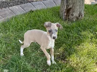 processed/9df88af3-7188-405a-9bb9-986e1332cdaa/listing/e0a119ee-8a0c-4850-9095-c0c46c6cb3e3/86a4a1b0-9c07-461d-8452-15e4d44fa3cd