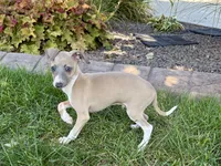 processed/9df88af3-7188-405a-9bb9-986e1332cdaa/listing/e0a119ee-8a0c-4850-9095-c0c46c6cb3e3/aa2ea872-e0f9-4009-a1b8-2486dfcba59f