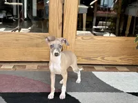 processed/9df88af3-7188-405a-9bb9-986e1332cdaa/listing/e0a119ee-8a0c-4850-9095-c0c46c6cb3e3/e1967ee7-6d72-4fd3-895c-6f8686909060