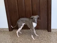 processed/9df88af3-7188-405a-9bb9-986e1332cdaa/listing/e4d0c881-215a-4af5-96d2-08825759c07a/65fb9347-7403-47c3-80c4-a28c243c85d1