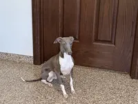 processed/9df88af3-7188-405a-9bb9-986e1332cdaa/listing/e4d0c881-215a-4af5-96d2-08825759c07a/b0a73883-f6cd-4080-801c-c5c9deb7e3a0