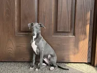 processed/9df88af3-7188-405a-9bb9-986e1332cdaa/listing/e5642afd-a192-4d80-98aa-d12c3b76908a/3bd19c4a-c84f-494f-bc3a-16138f5adcd7