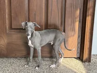 processed/9df88af3-7188-405a-9bb9-986e1332cdaa/listing/e5642afd-a192-4d80-98aa-d12c3b76908a/42bdb0dd-e332-419c-b2b4-6d83c9f2f251