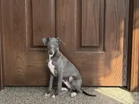 processed/9df88af3-7188-405a-9bb9-986e1332cdaa/listing/e5642afd-a192-4d80-98aa-d12c3b76908a/44280a3b-f024-4254-aea3-ba83f8539ca5